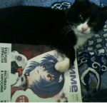 lqcutez !