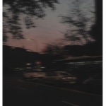 Itx_Sxphiee's Sunflowers! <3