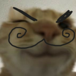 Roux plis