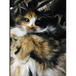 Dixie the cat fan group