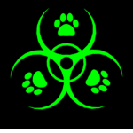 VVIIDDIIT AND DOOM