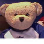 TeddyTastickTeam