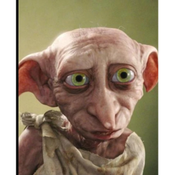Dobby and Gryffindor