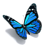 Beautiful butterflies!!