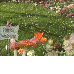 Fluttering fairys