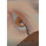 aliera