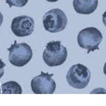 Blueberries *-*