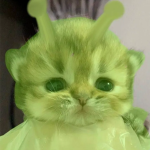 haixfofo