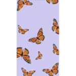 Violeta’s clothes