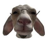 Roblox entity thumbnail