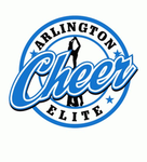 Cheer elite cams perm team