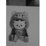persone