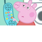 F P I (Federal Peppa investigation)