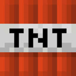 TNT RUN LLC