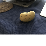 The Potato’s Refrigerator