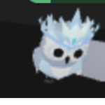Hi snow owl