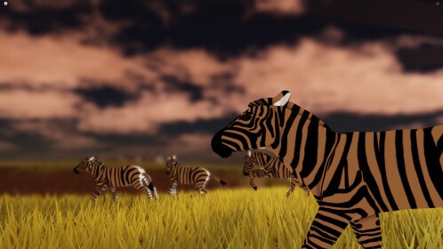 Playbox Safari