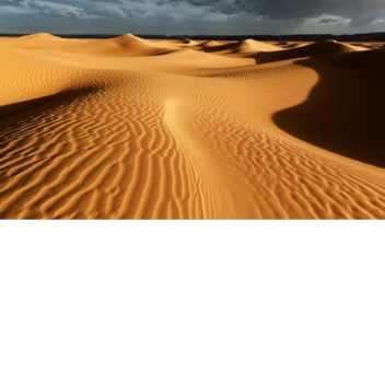 [HUGE UPDATE] the desert (alpha)