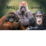 The Apes United
