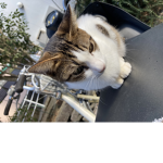 フレだけ入れよっ！