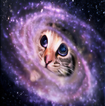PlayingWithCats86