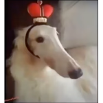 Lord Foog's Army