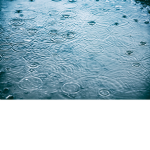 Rain Development Studios