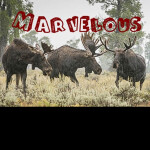 Blox and Blade: Warblox