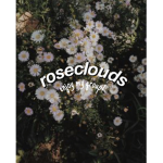 •roseclouds•