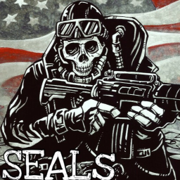 Operation SEALs