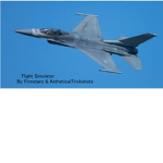 Flight Simulator Fan's
