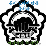 국술원 맹호 합기도