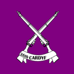 The 36th Cardyf Volunteers
