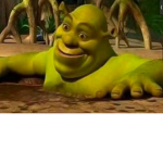 shrek loveres