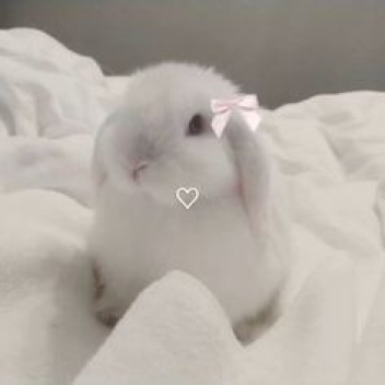 ⪩ ⧅⧅ ⪨