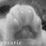 Rosarie
