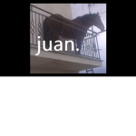 los ########################