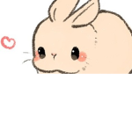.+*Team Bunnie*+.