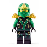 The Green Ninja