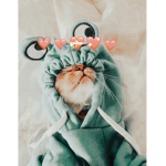 <3 Extra Vibes <3