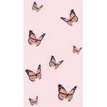 Stella_Butterfly123's group.