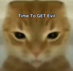 Badass Cat