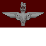 Parachute Regiment (PARAS)