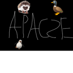 Apacze