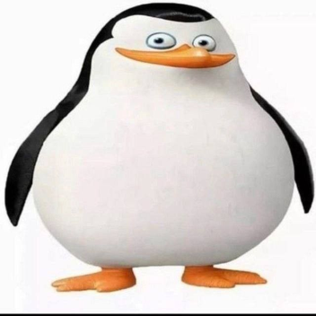 OBBY PERU 