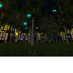 Forest Hangout