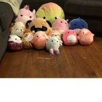 Squishmellow xo