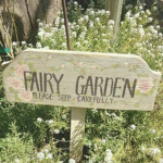 Delighted fairy’s