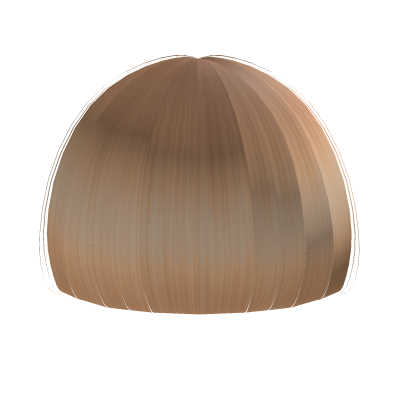 Blonde 2010s Blac Chyna Cut Bang Roblox item
