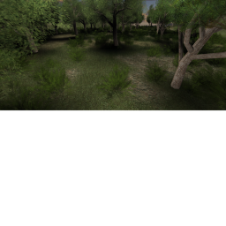 Forest Beta